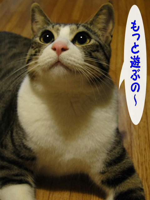 もっと遊びたいのー