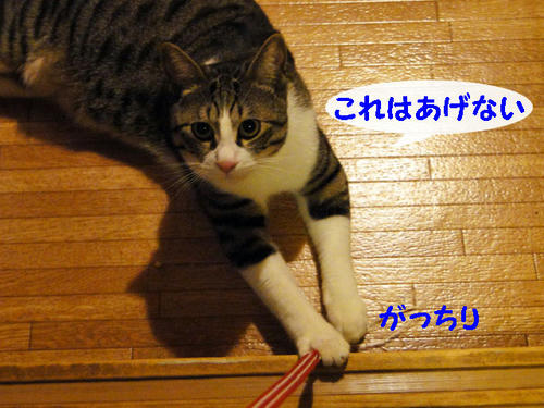 これはあげない