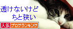 人気ブログランキング（猫ブログ）へ