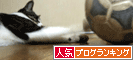 人気ブログランキング（猫ブログ）へ
