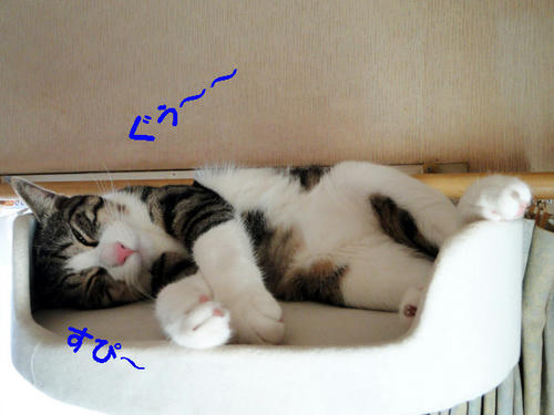 Ｚｚｚ・・・