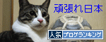 人気ブログランキング(猫)へ