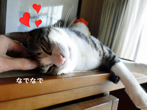 ゴロゴロ