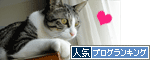 人気ブログランキング(猫)へ