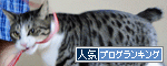人気ブログランキング(猫)へ