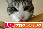 人気ブログランキング(猫)へ