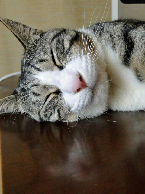Zzzz...
