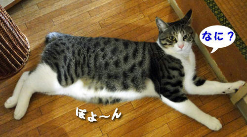 ん?