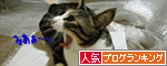 人気ブログランキング（猫ブログ）へ