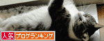 人気ブログランキング（猫ブログ）へ