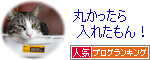 人気ブログランキング（猫ブログ）へ