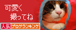 人気ブログランキング（猫ブログ）へ