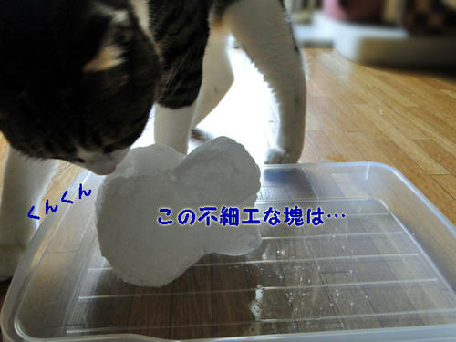 この不細工な塊は・・・