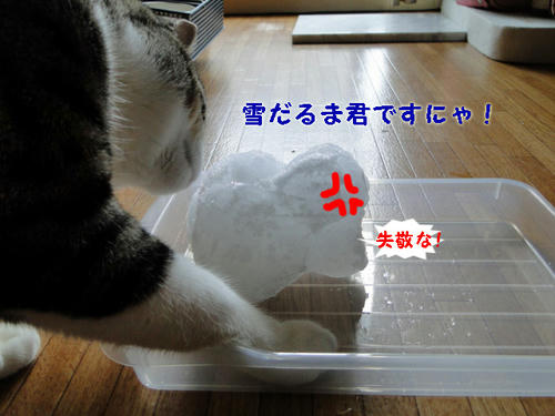 雪だるま君にゃ！
