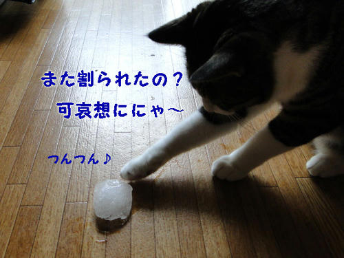 また割られちゃったの？