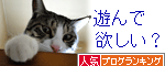 人気ブログランキング（猫ブログ）へ