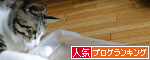 人気ブログランキング（猫ブログ）へ