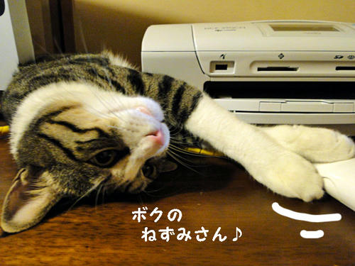 ボクのねずみさん♪