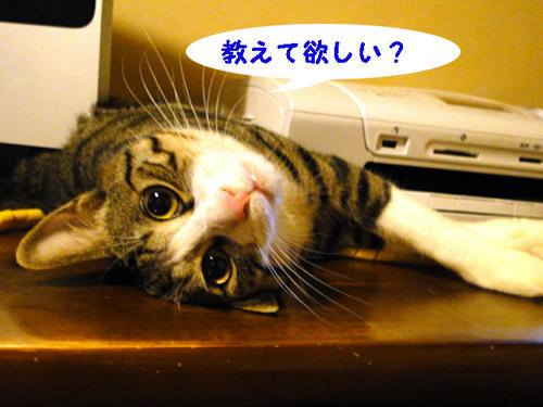教えて欲しい？