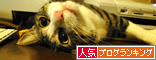人気ブログランキング（猫ブログ）へ