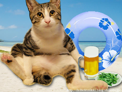一緒にビール飲みましょにゃ