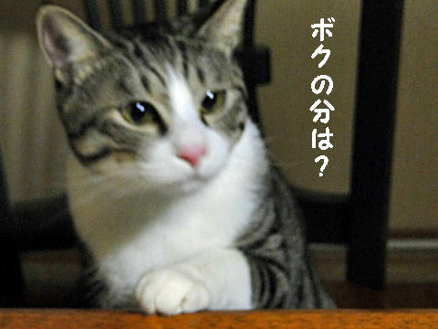 ボクのは？