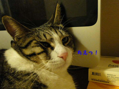 ちぇ～っ