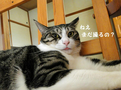 まだ撮るの？