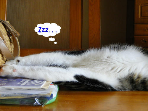 Zzz...
