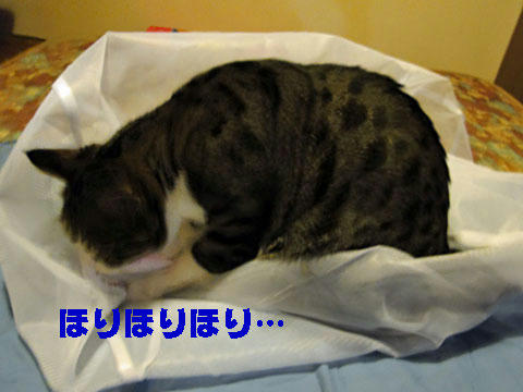 ほりほり・・・