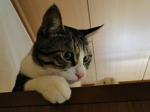 じーー