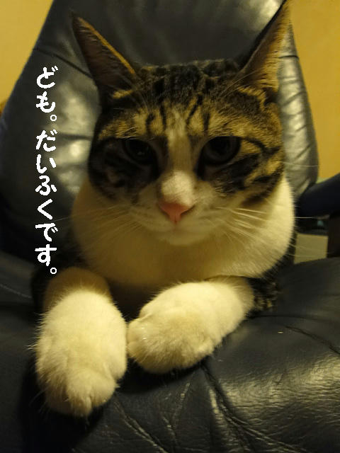 ども。