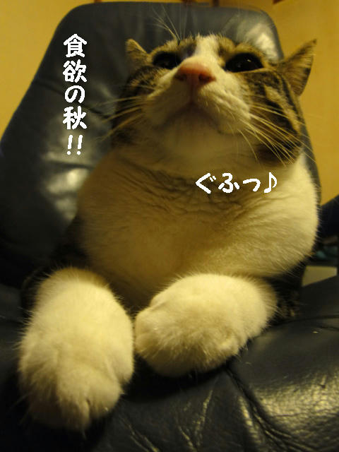 食欲の秋
