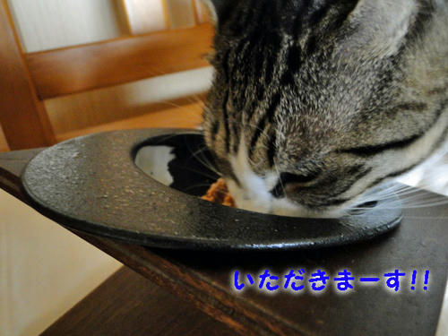 いただきまーす♪