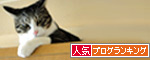 人気ブログランキング（猫ブログ）へ