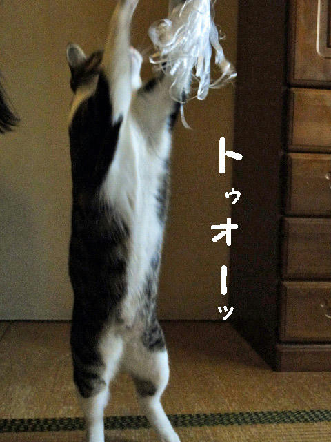 とぉー