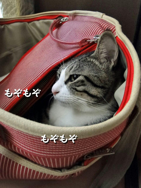 もぞもぞ
