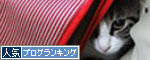 人気ブログランキング（猫ブログ）へ