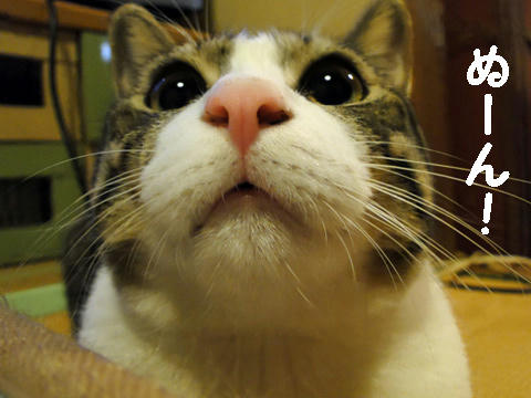 ぬーん