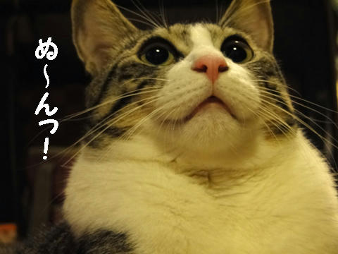 ぬ～んっ！