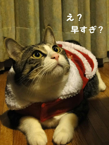 早すぎ？
