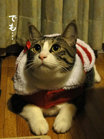 でも・・・