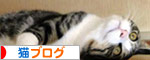 にほんブログ村（猫動画）へ