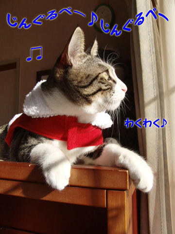 まだかにゃ～