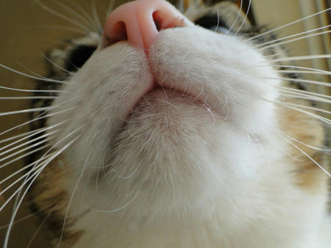 ぬーん１