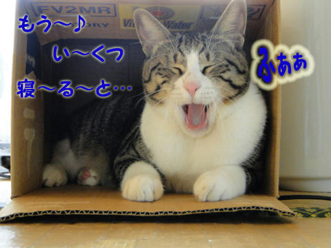 もういくつ寝ると