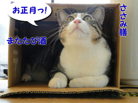 お正月♪