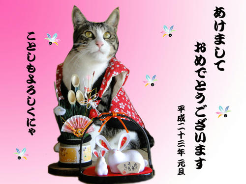 2011年賀状