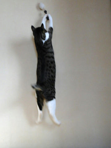 ジャンプ