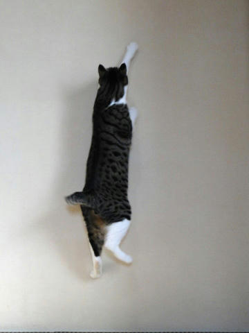 ジャンプ